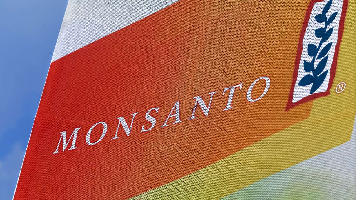 Monsanto eliminating 1,000 more jobs to cut costs