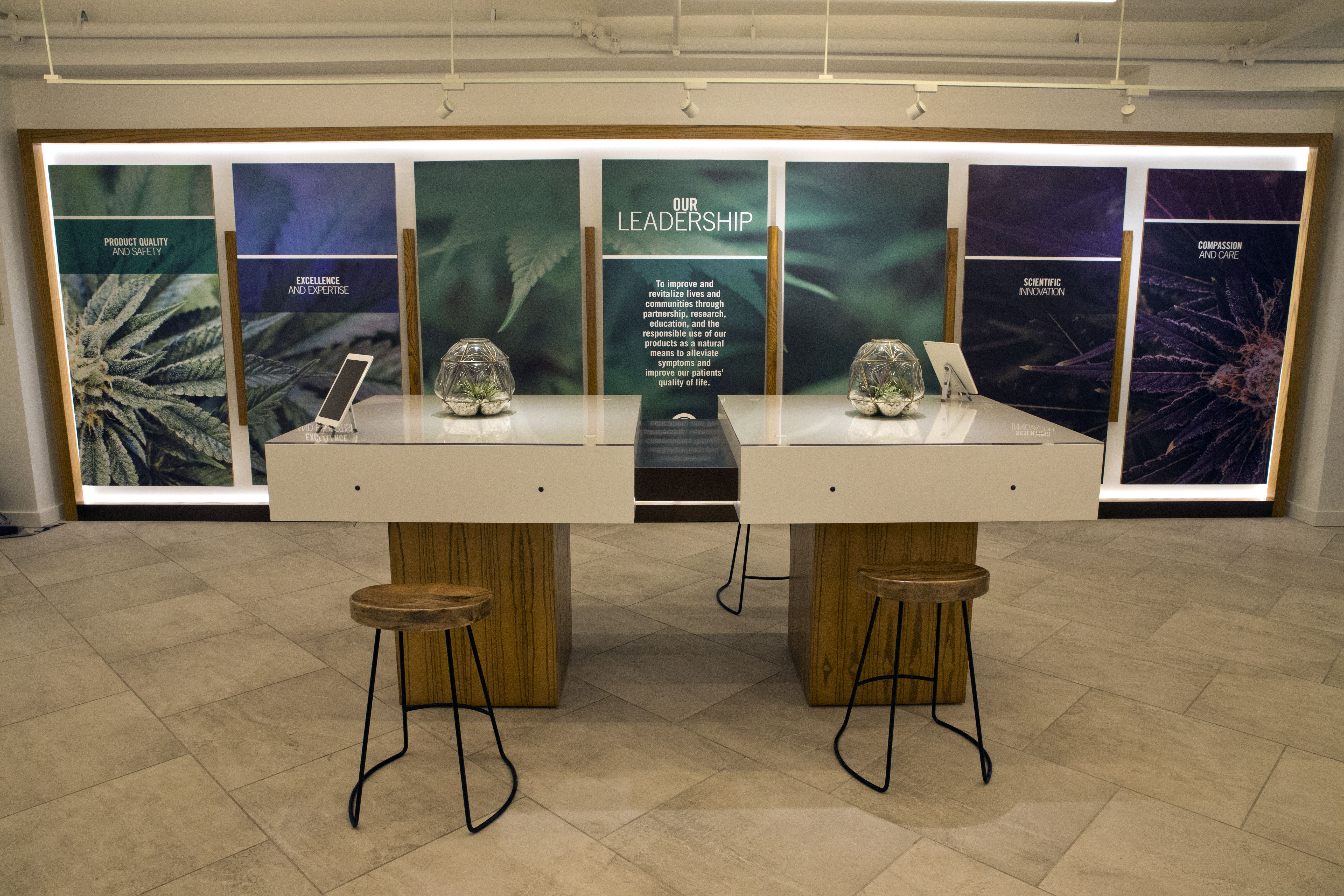 New York launches into medical pot, with no buds in sight