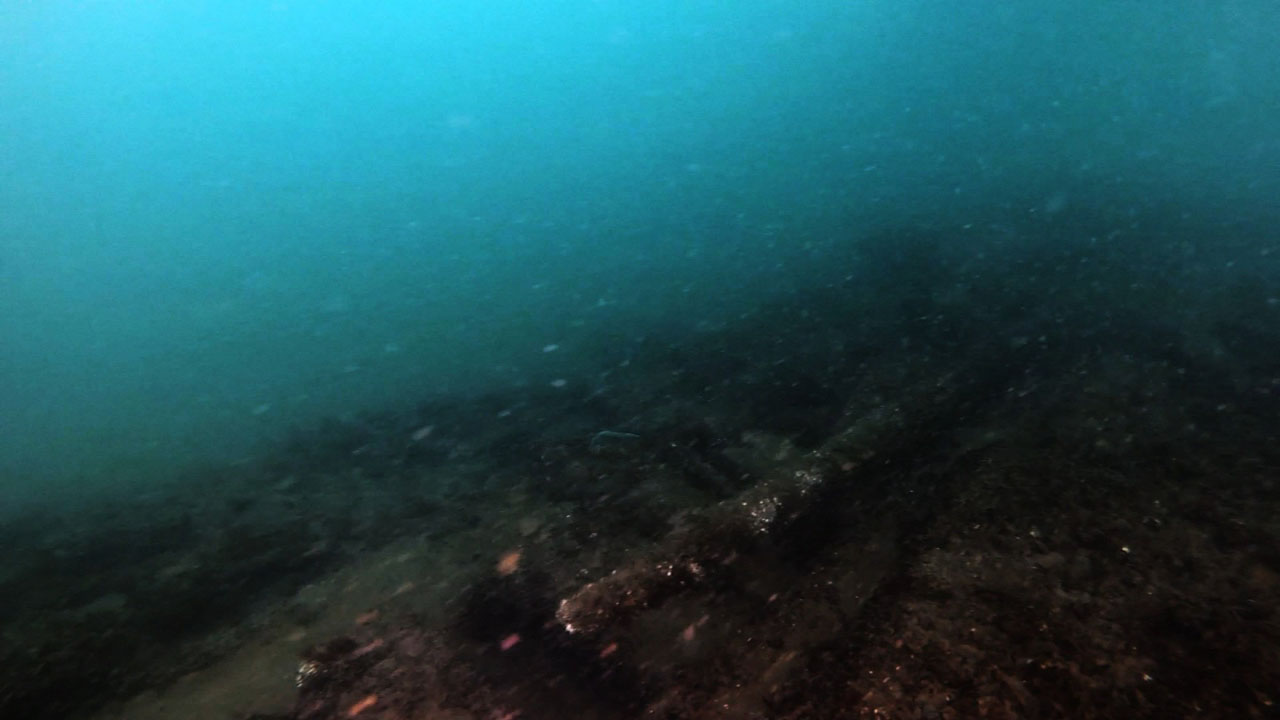 144-year-old Arctic shipwreck discovered; climate change to thank?