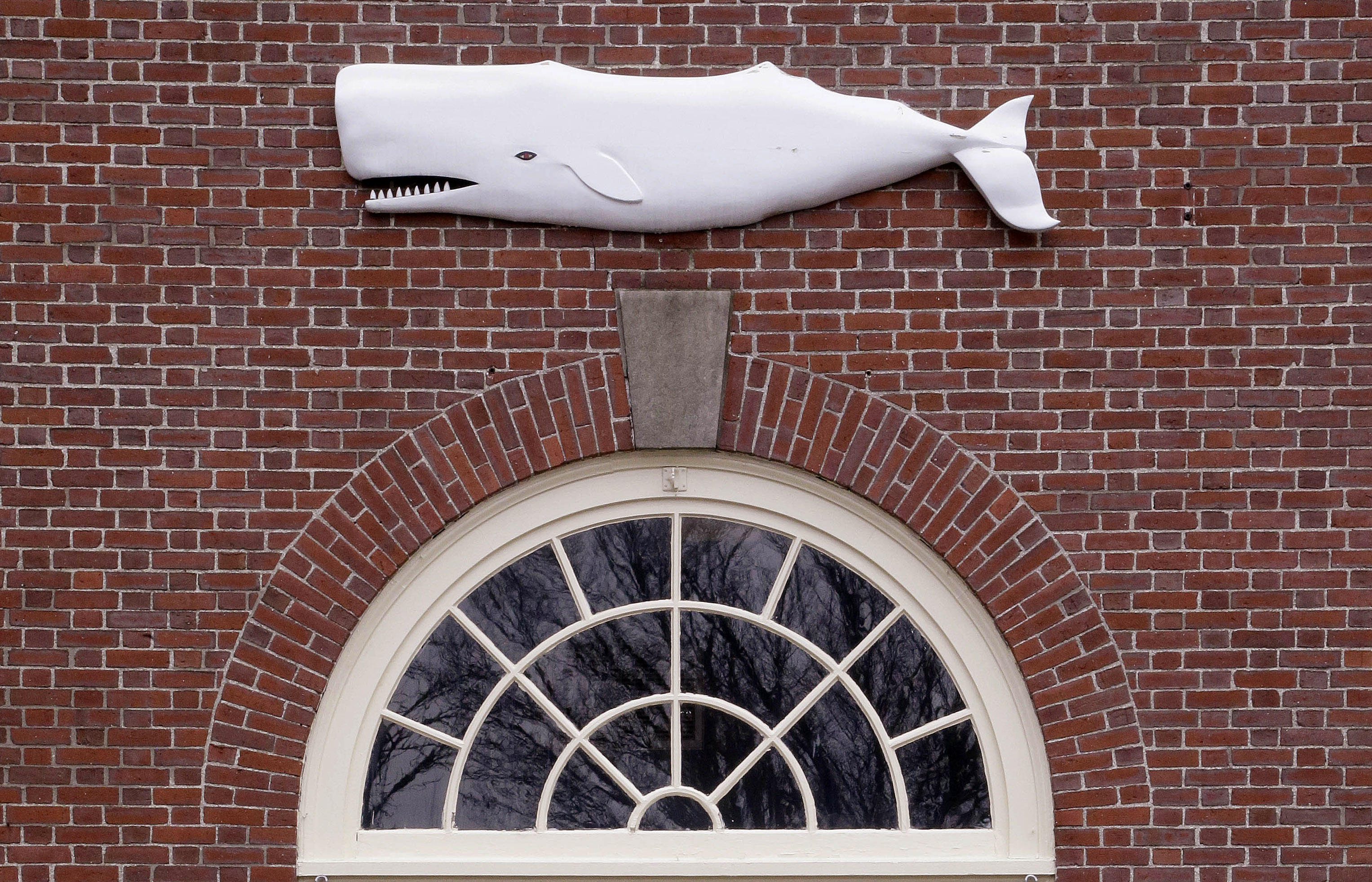 Whaling museum gears up for 'Moby-Dick' reading marathon