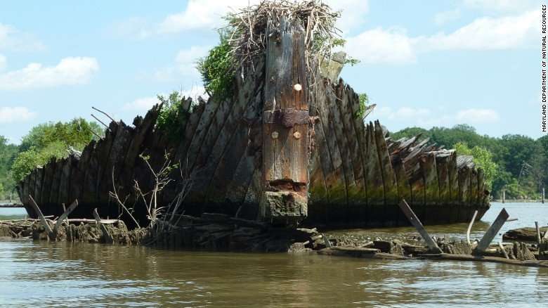 Photo: MD Dept of Natural Resources