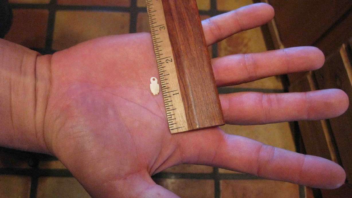 Family to appeal dismissal of artifact-looting arrest suit