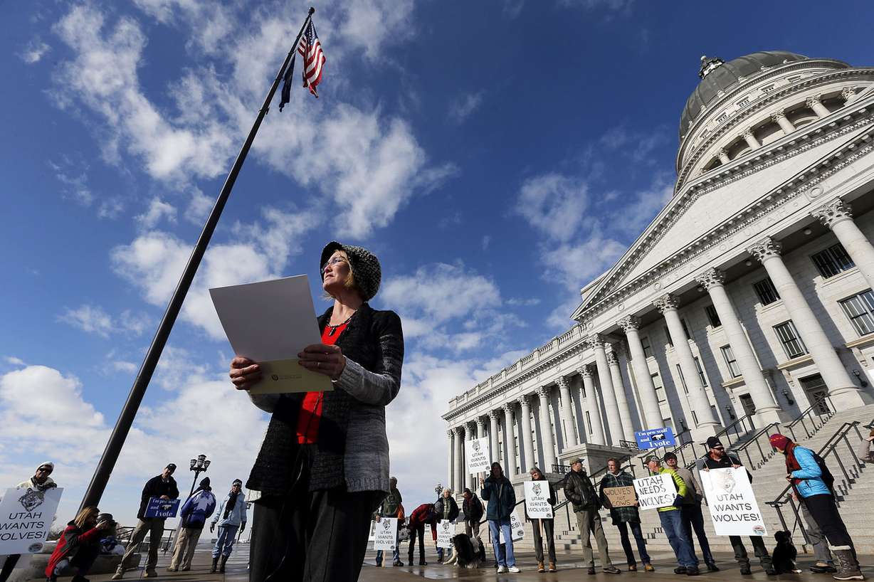 Ty Markham of the Mormon Environmental Stewardship Alliance speaks during a press conference at the Capitol in Salt Lake City on Thursday, Jan. 14, 2016, urging support for the recolonization of Mexican gray wolves in southern Utah. (Photo: Ravell Call, Deseret News)