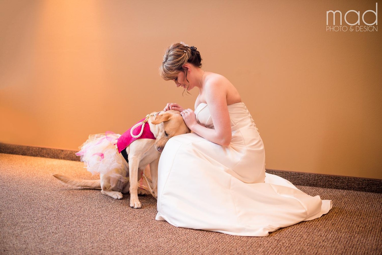 Bride's wedding photos with service dog go viral