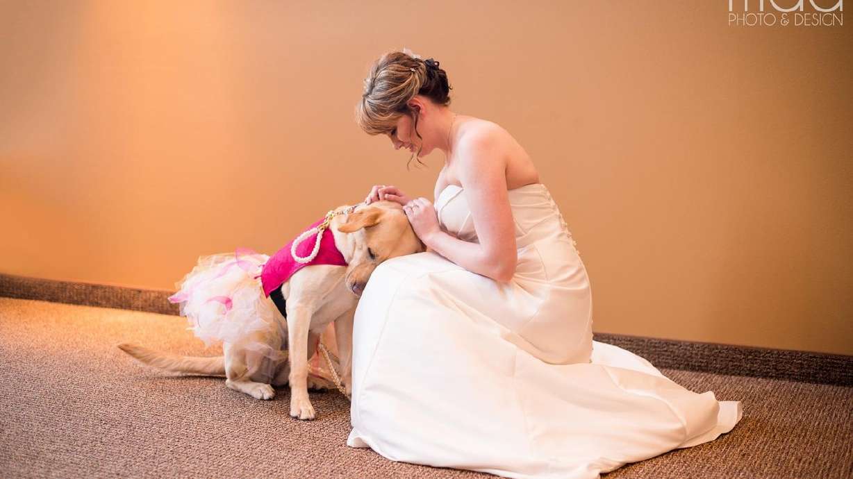 Bride's wedding photos with service dog go viral