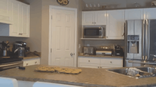 Have You Seen This? Dog perfects athletic begging technique