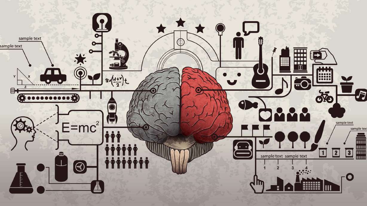 Human memory capacity comparable to entire Internet, study shows