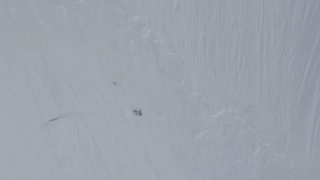 Have You Seen This? Utah skier OK after 1,000-foot fall down Alaskan mountain