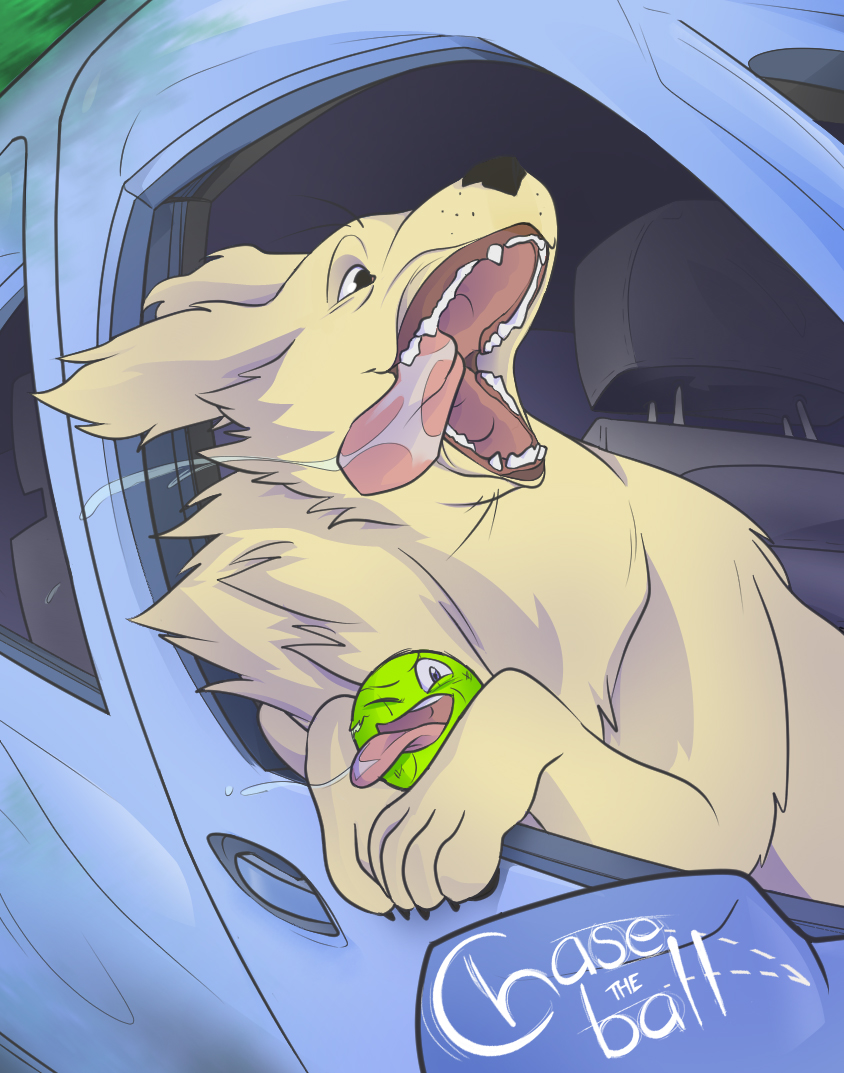 The trailer for upcoming short film, "Chase The Ball" depicts the death of a dog from the perspective of the dog's tennis ball. (Photo: Juhmelly Carlson)