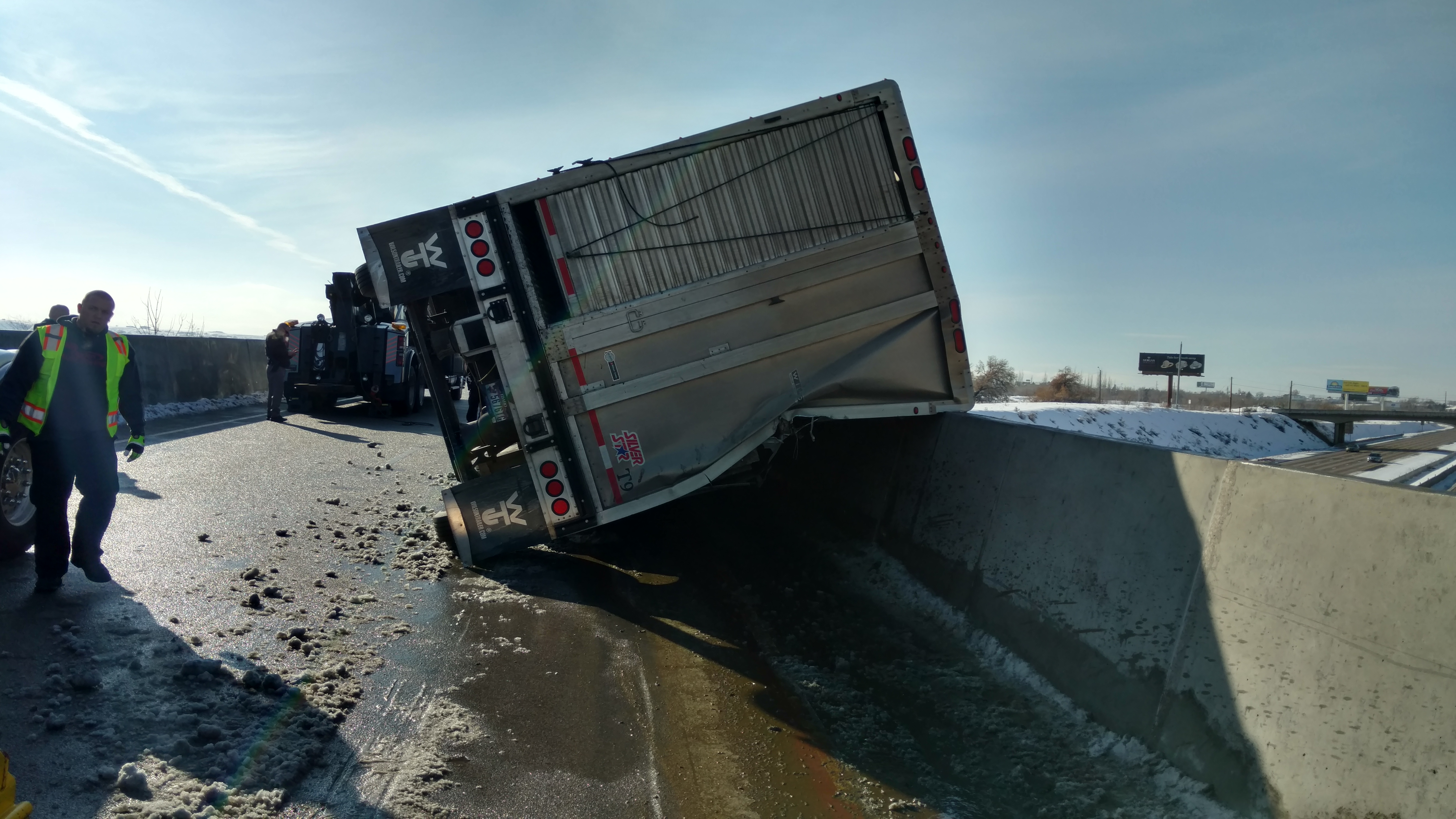 PETA wants investigation into live cow being dropped several feet into truck after crash