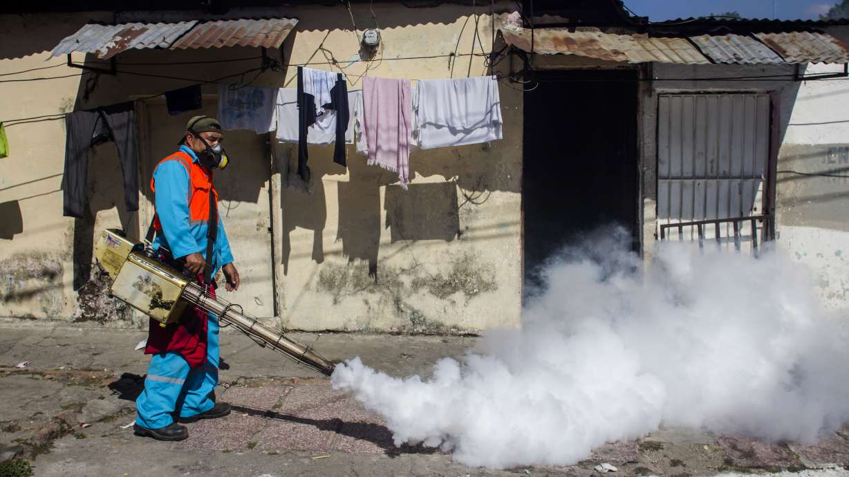 Research begins into possibility of a vaccine for Zika virus