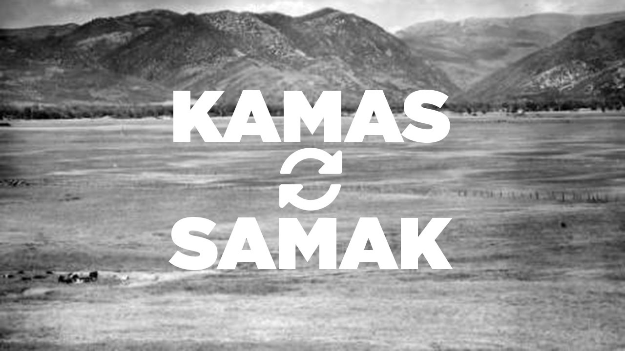 Panoramic view of Kamas Valley at point where road crosses Beaver Creek. Looking northeast toward Weber River Canyon, 1948. (U.S. Soil Conservation Service photo).

Utah State Historical Society. All Rights Reserved.