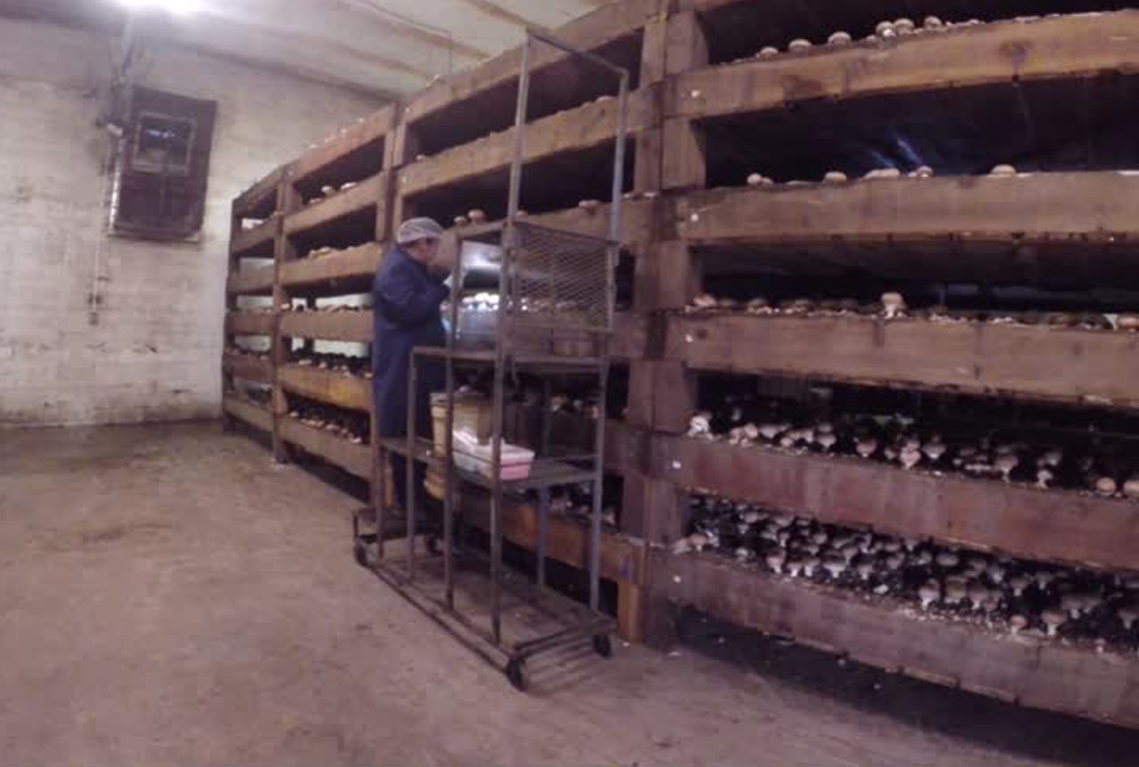 Photo: Mike DeBernardo/KSL-TV