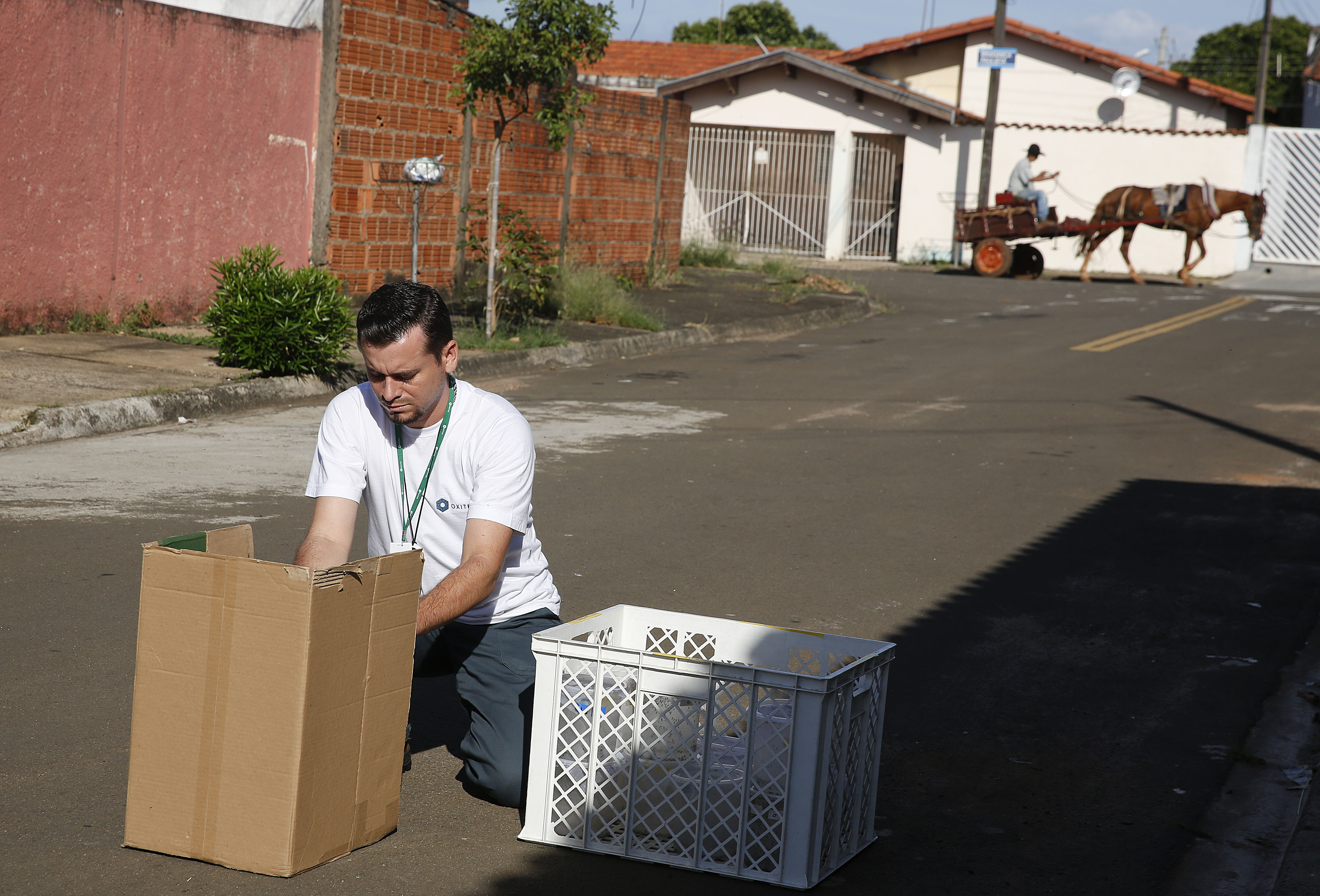 Latin America scrambles to squash Zika-spreading mosquito