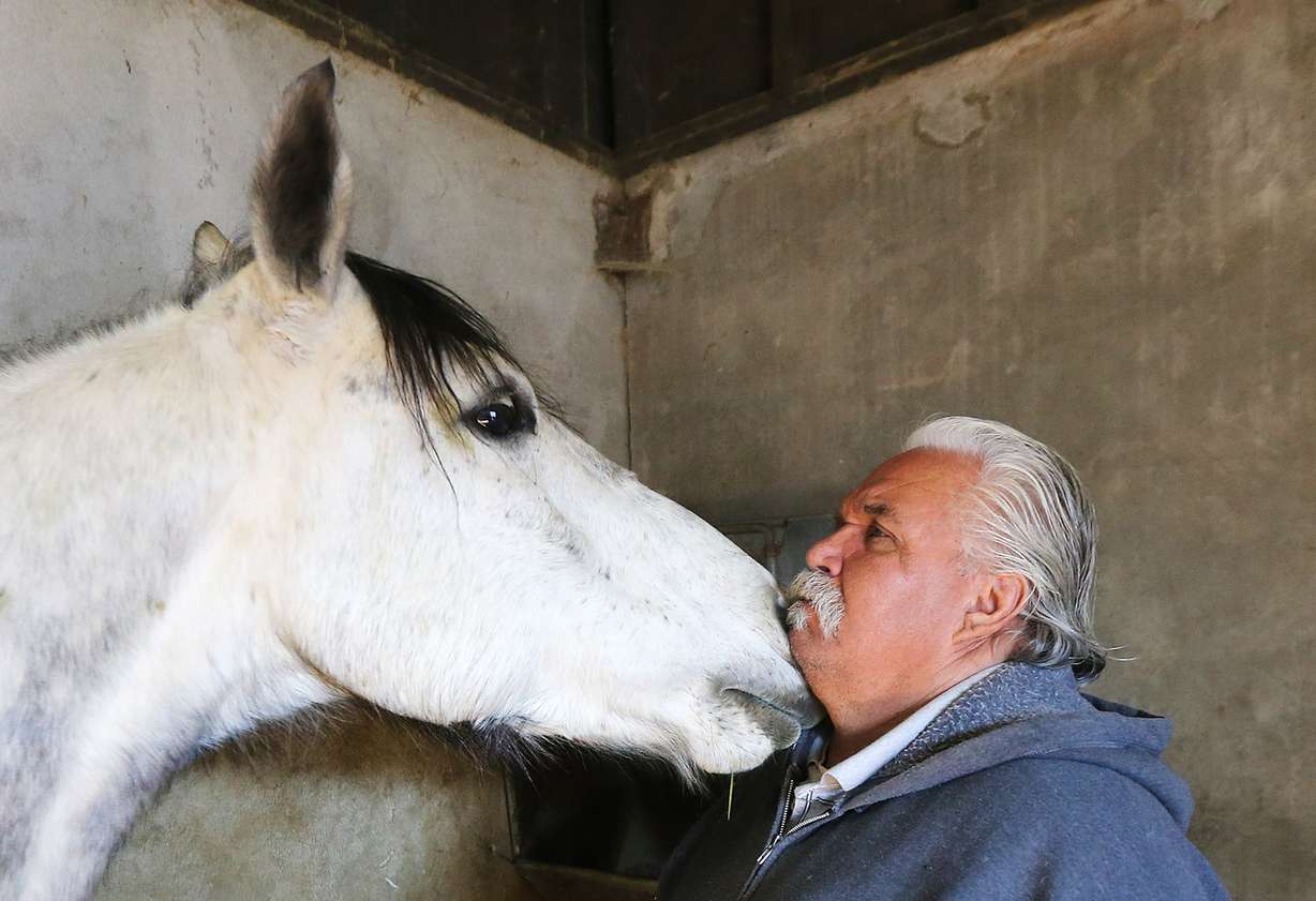 Alberto Gutierrez gets a kiss from his horse, Leo, at the Salt Lake County Equestrian Park and Event Center in South Jordan on Monday, Feb. 8, 2016. (Photo: Scott G Winterton, Deseret News)