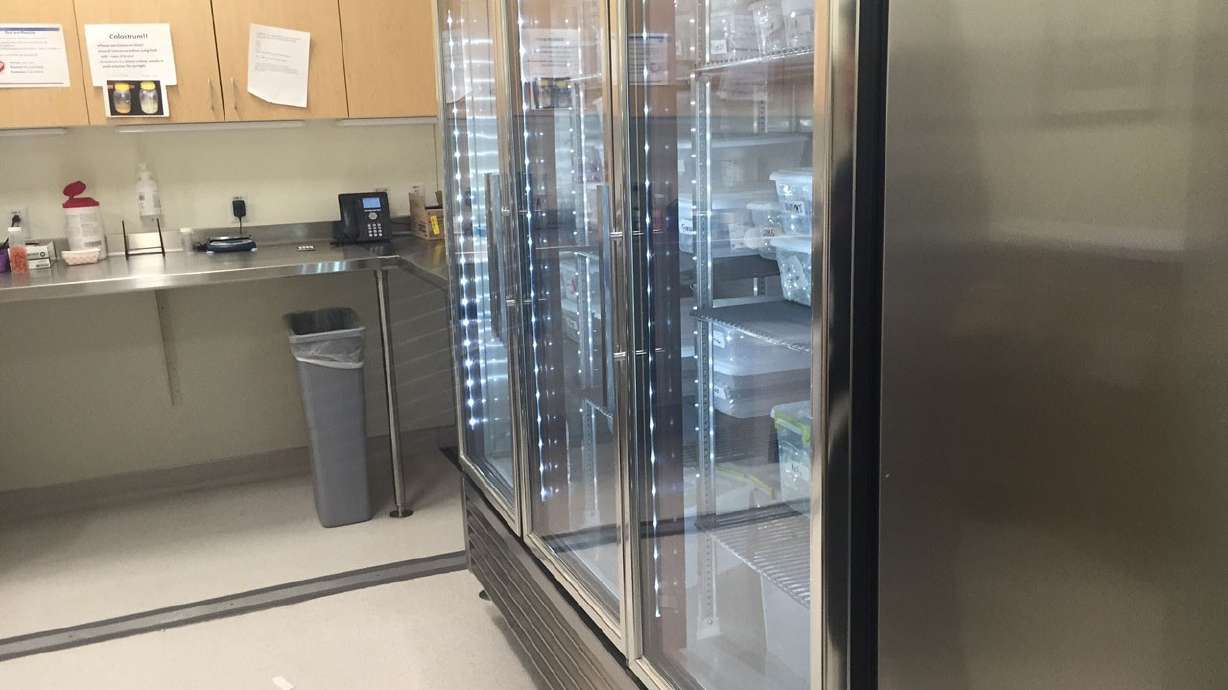 Efforts underway to bring Mountain West Mothers' Milk Bank to Utah