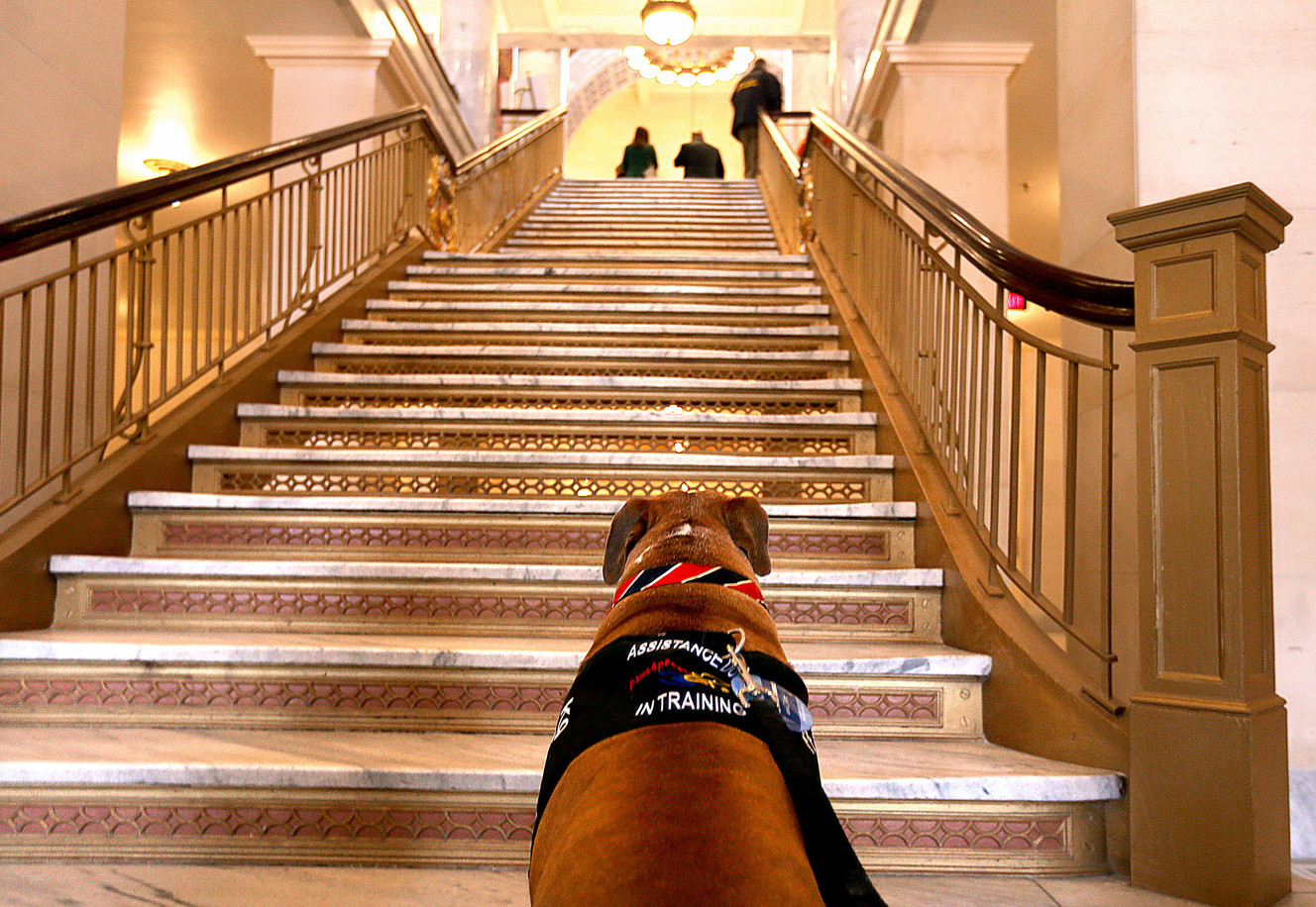 Group asks lawmakers to ban animal gas chambers