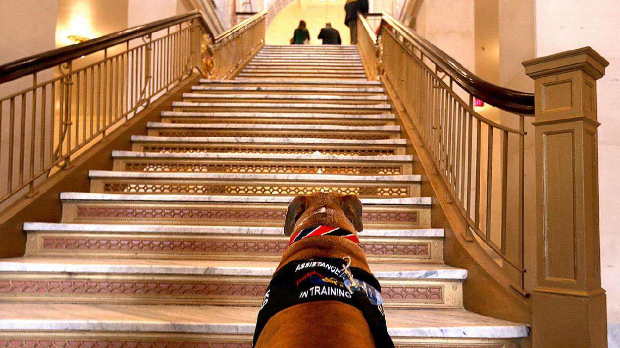 Group urges ban on animal gas chambers; House rejects UTA tax bill