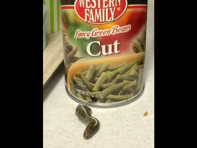 Jóvenes de iglesia SUD encuentran cabeza de víbora en lata de ejotes en UT