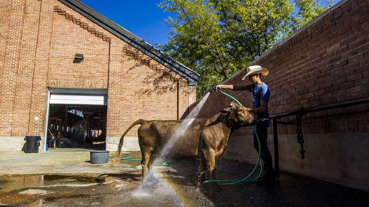 Bill aims to make Utah State Fairpark more profitable