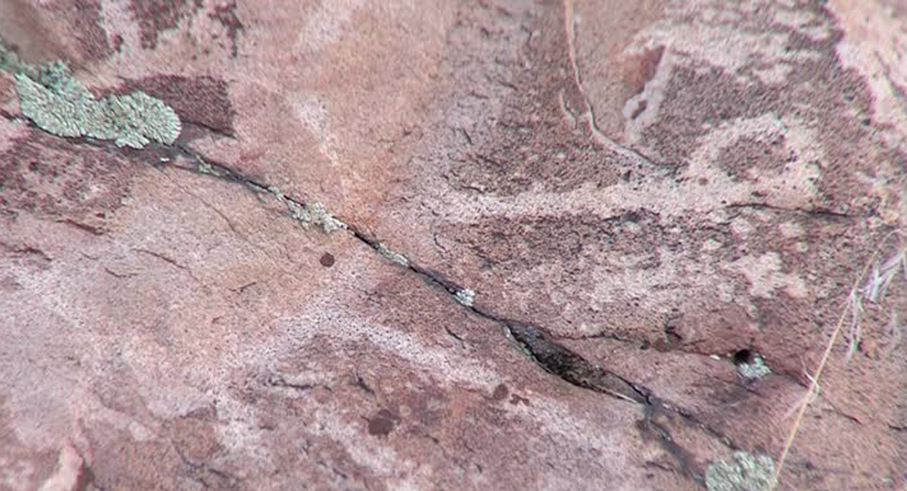 Photo: Mike DeBernardo/KSL-TV