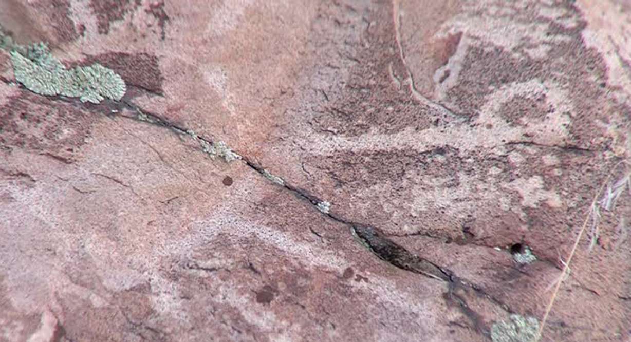 Photo: Mike DeBernardo/KSL-TV