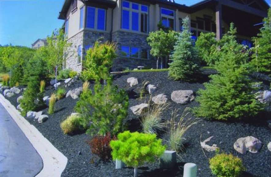 Courtesy of KSL Local