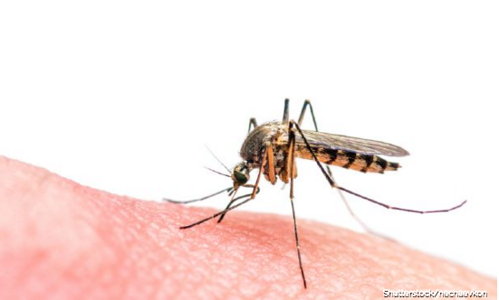 Niño de UT da positivo al virus Zika 