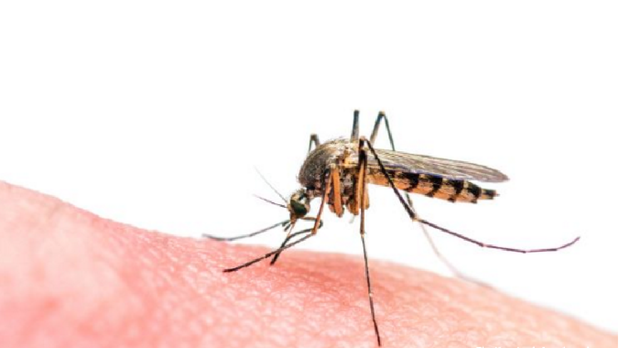 Niño de UT da positivo al virus Zika