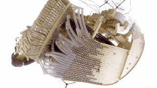 Have You Seen This? Musical instrument operates using 2K marbles