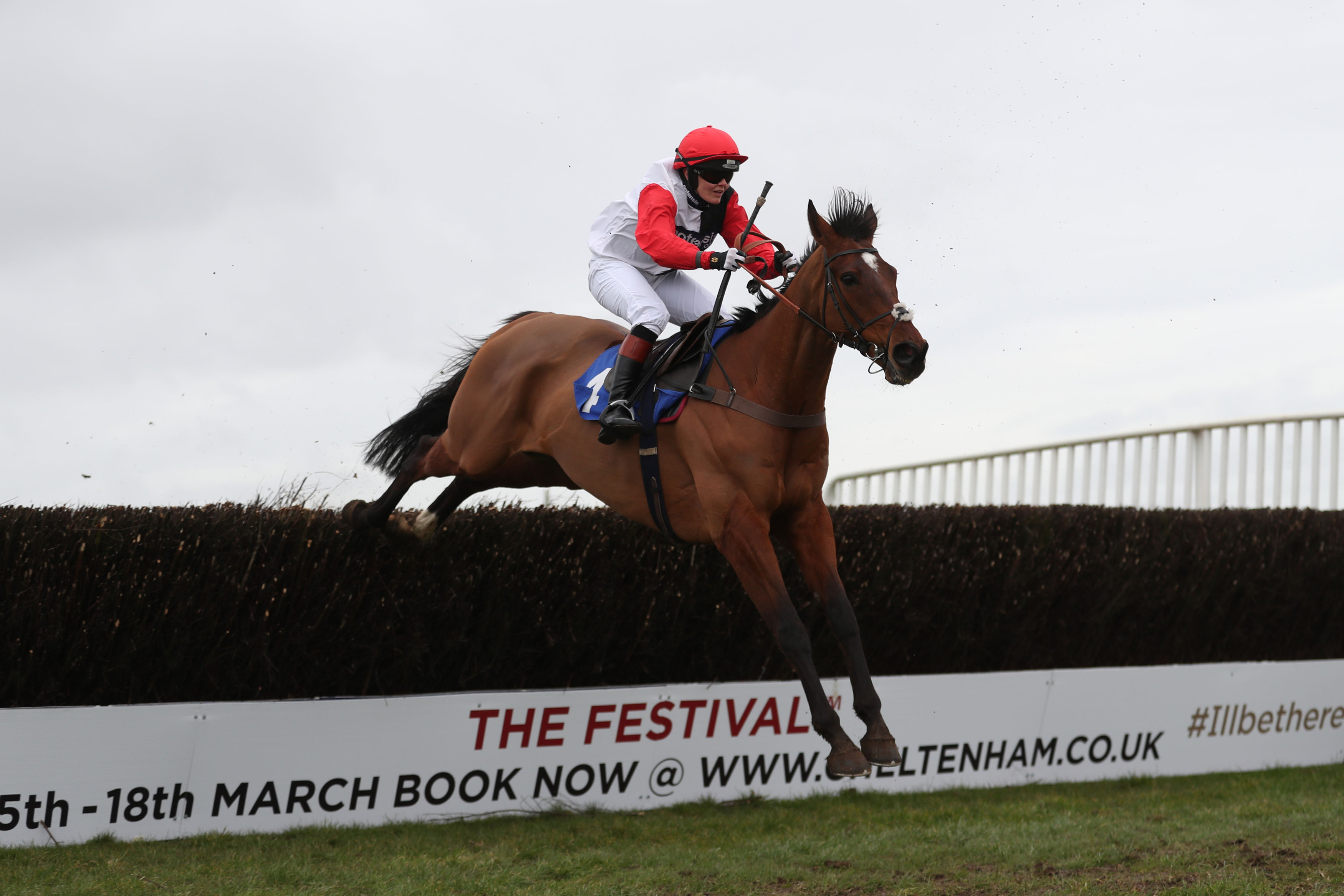 Cyclist-turned-jockey Pendleton to ride at Cheltenham