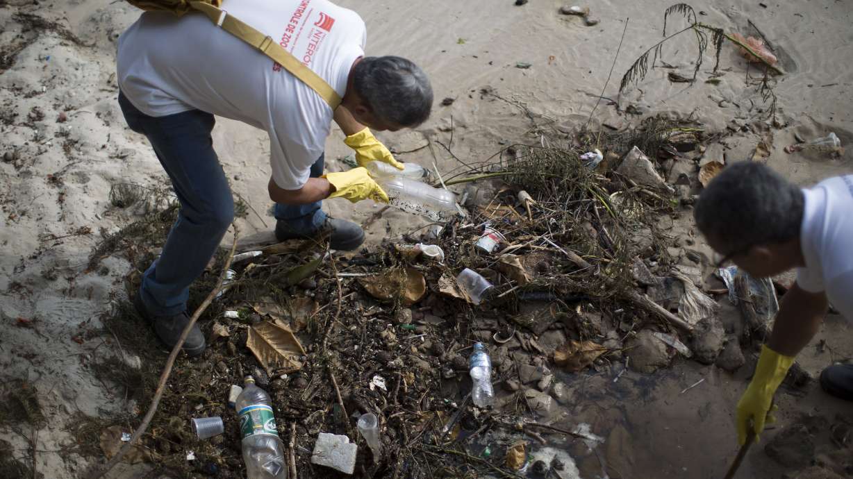 App helps in Brazil's fight against Zika-spreading mosquito