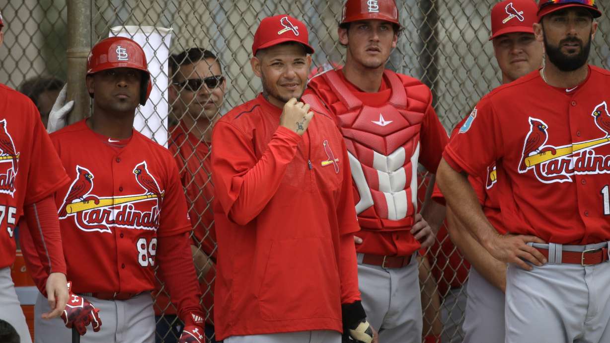 Molina catches 5 innings, fans looking in Cardinals win