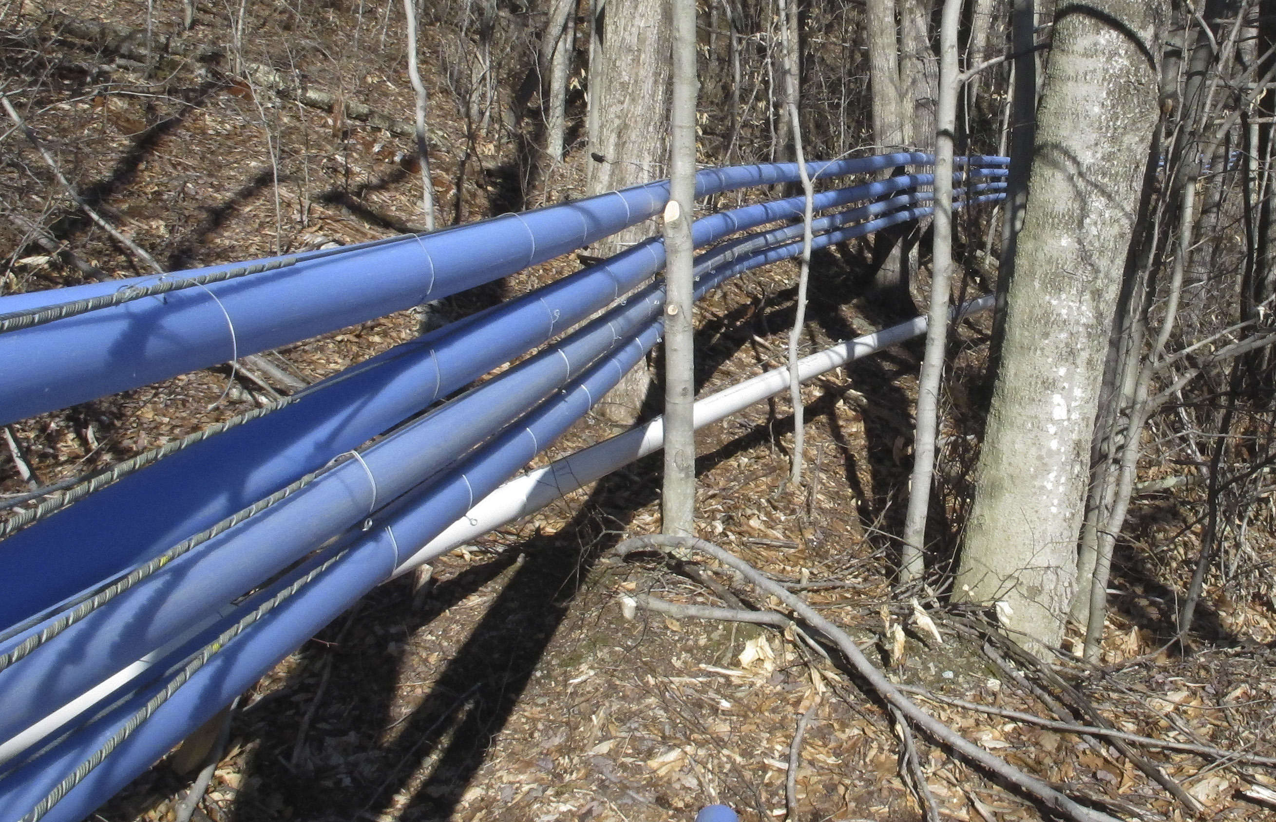 Big Maple: Demand for new sweeteners brings boom in Vermont