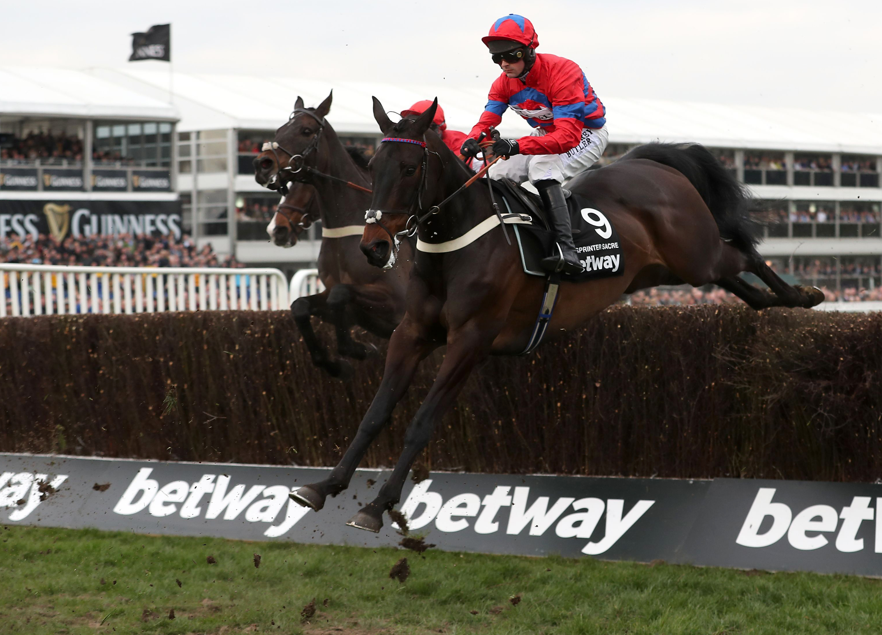 Fit-again Sprinter Sacre wins Queen Mother Champion Chase