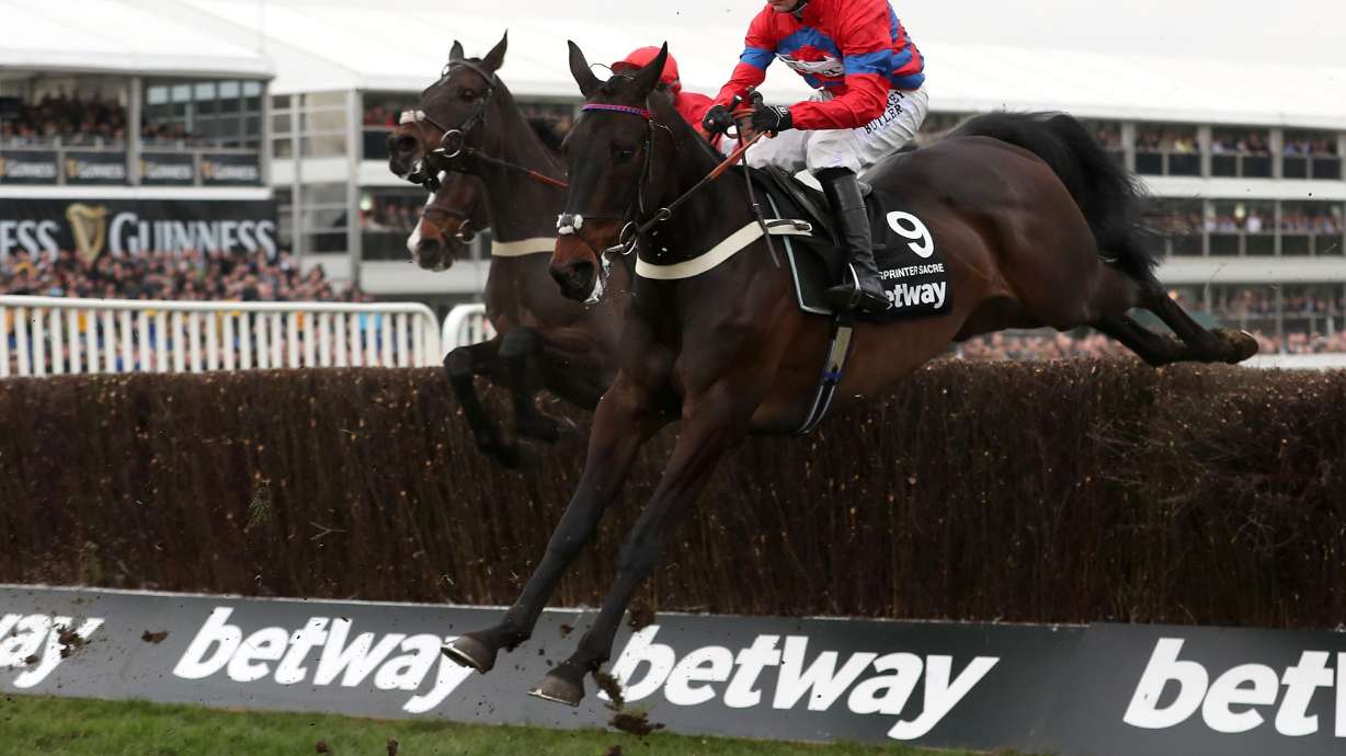 Fit-again Sprinter Sacre wins Queen Mother Champion Chase