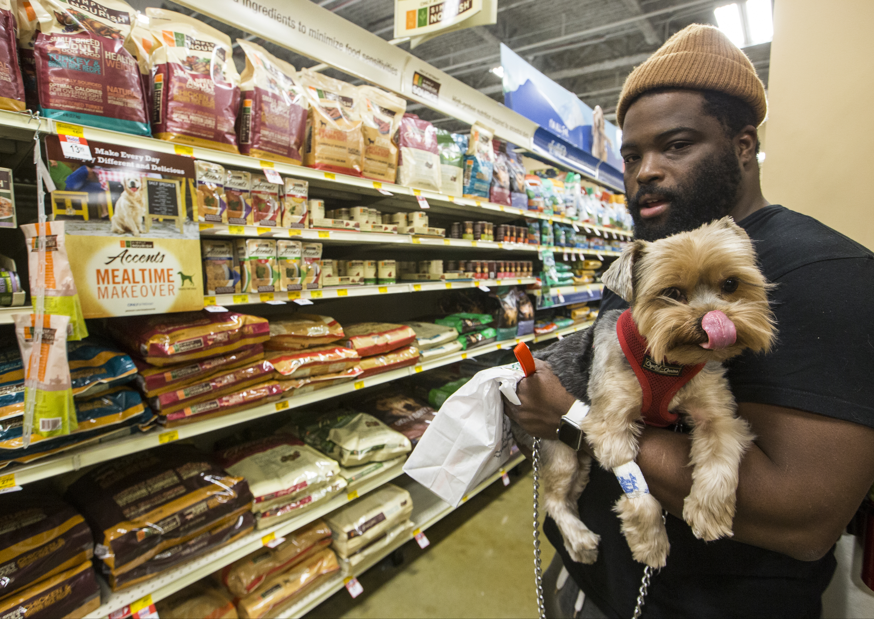 Americans pony up record $60B keeping pets healthy, happy