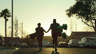 Have You Seen This? How to adopt a leprechaun