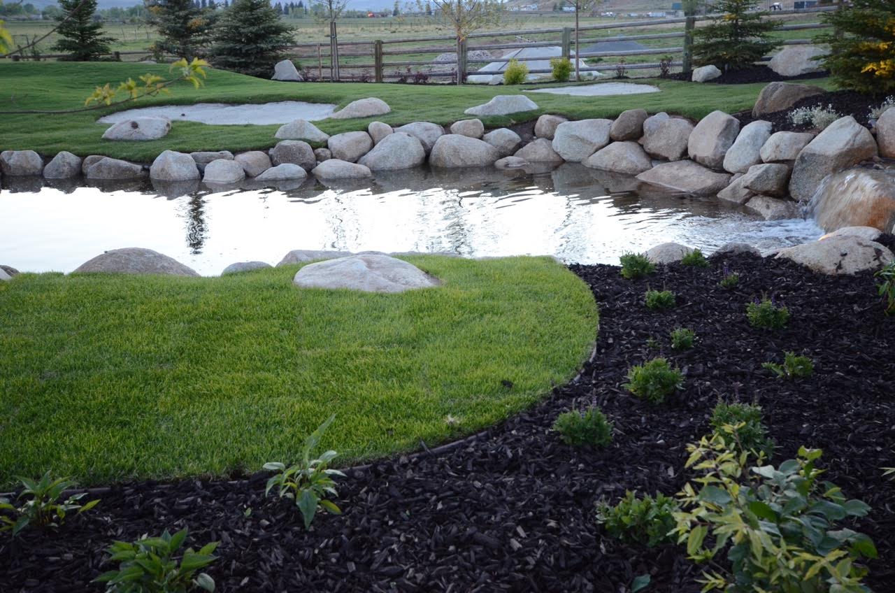 Photo: Platinum Landscape & Pools