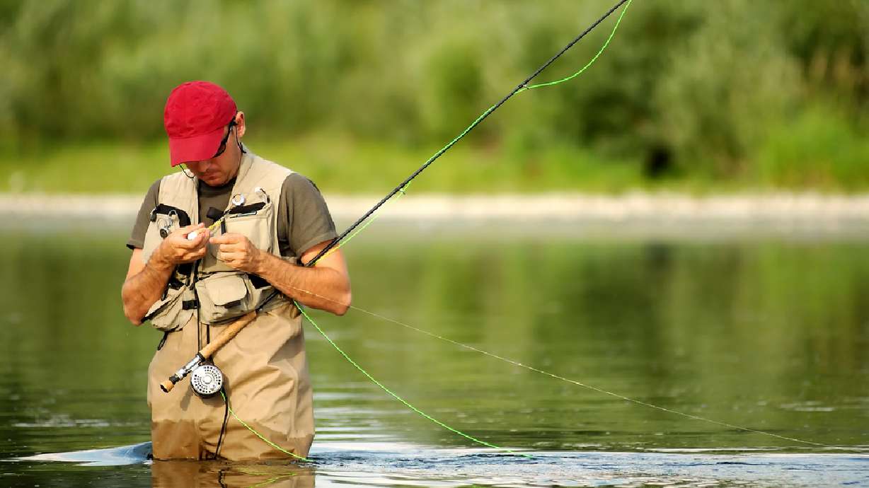 A beginner's guide to fly fishing