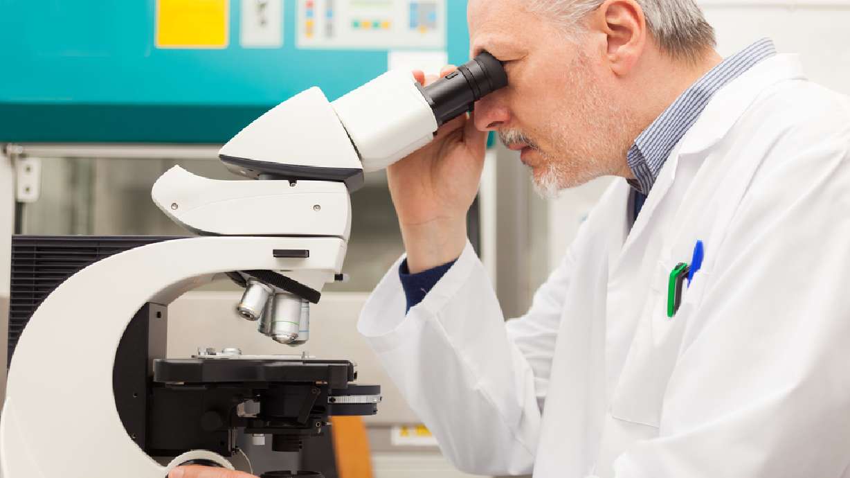 Scientists get closer to creating real-life invisibility cloak