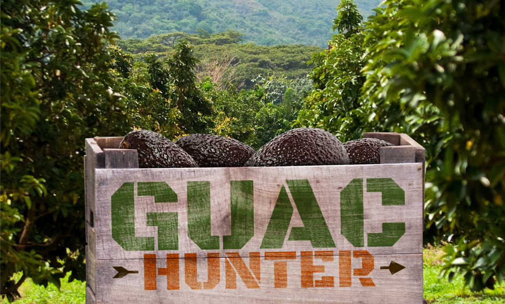 New Chipotle ‘Guac Hunter’ Experience Rewards Players with Free Chips and Guacamole