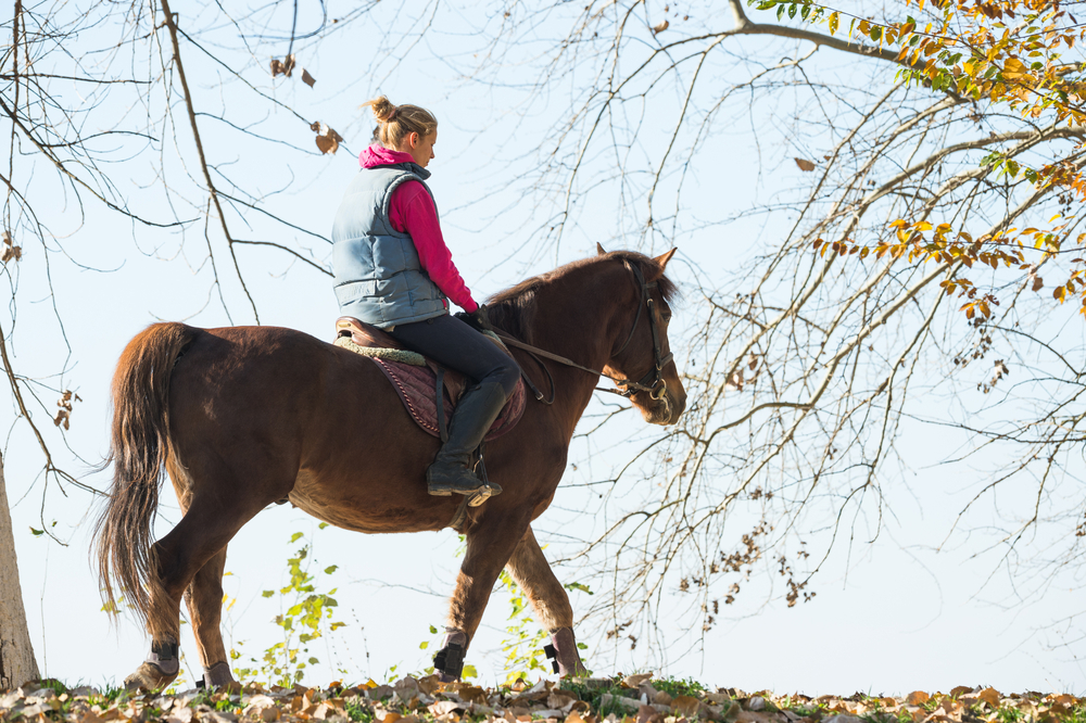 4 fun Utah horse trails to ride this summer