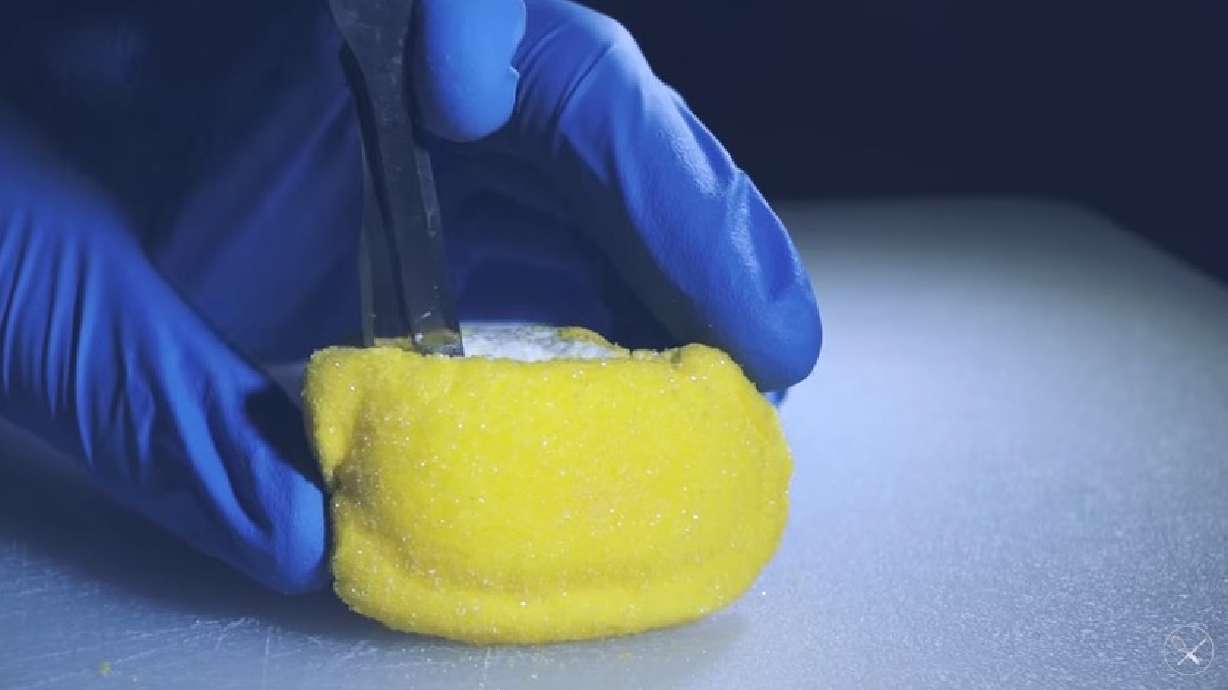 Have You Seen This? Peep gets Cadbury cremed