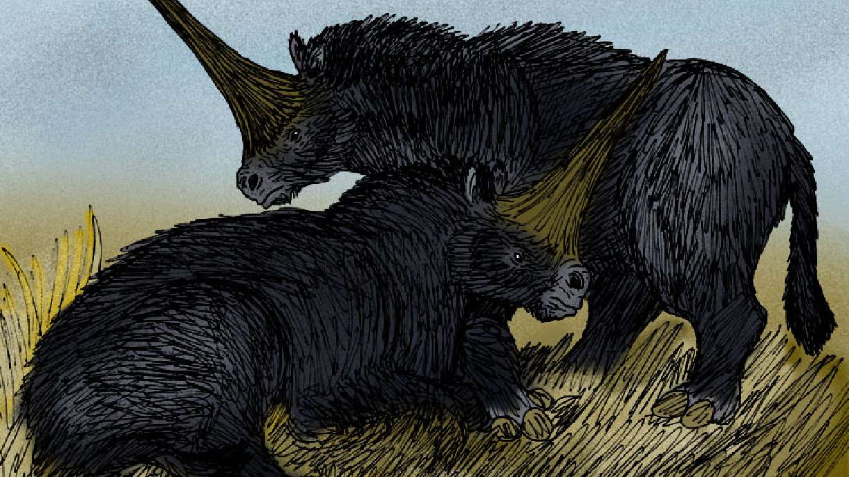 Real 'Siberian unicorn' remains found