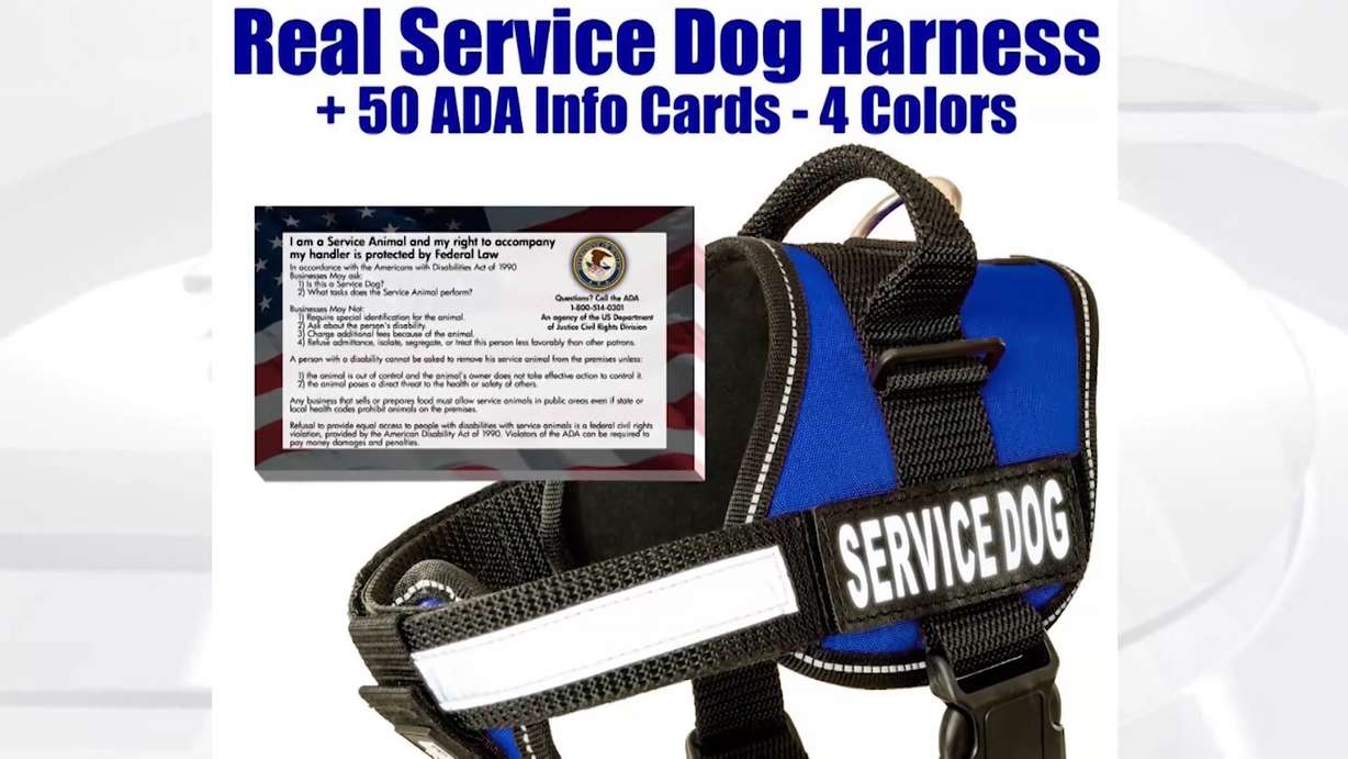 Fake service animals a growing problem