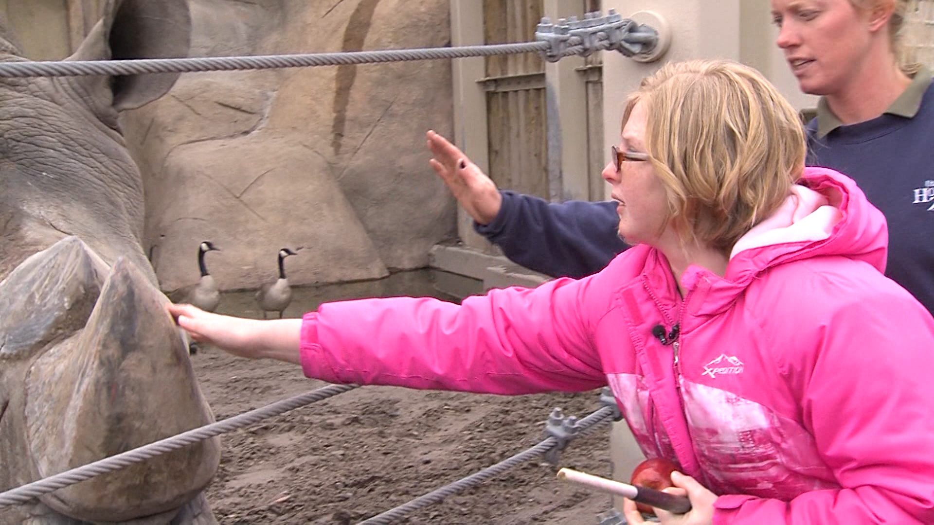 Wednesday's Child - Avigail