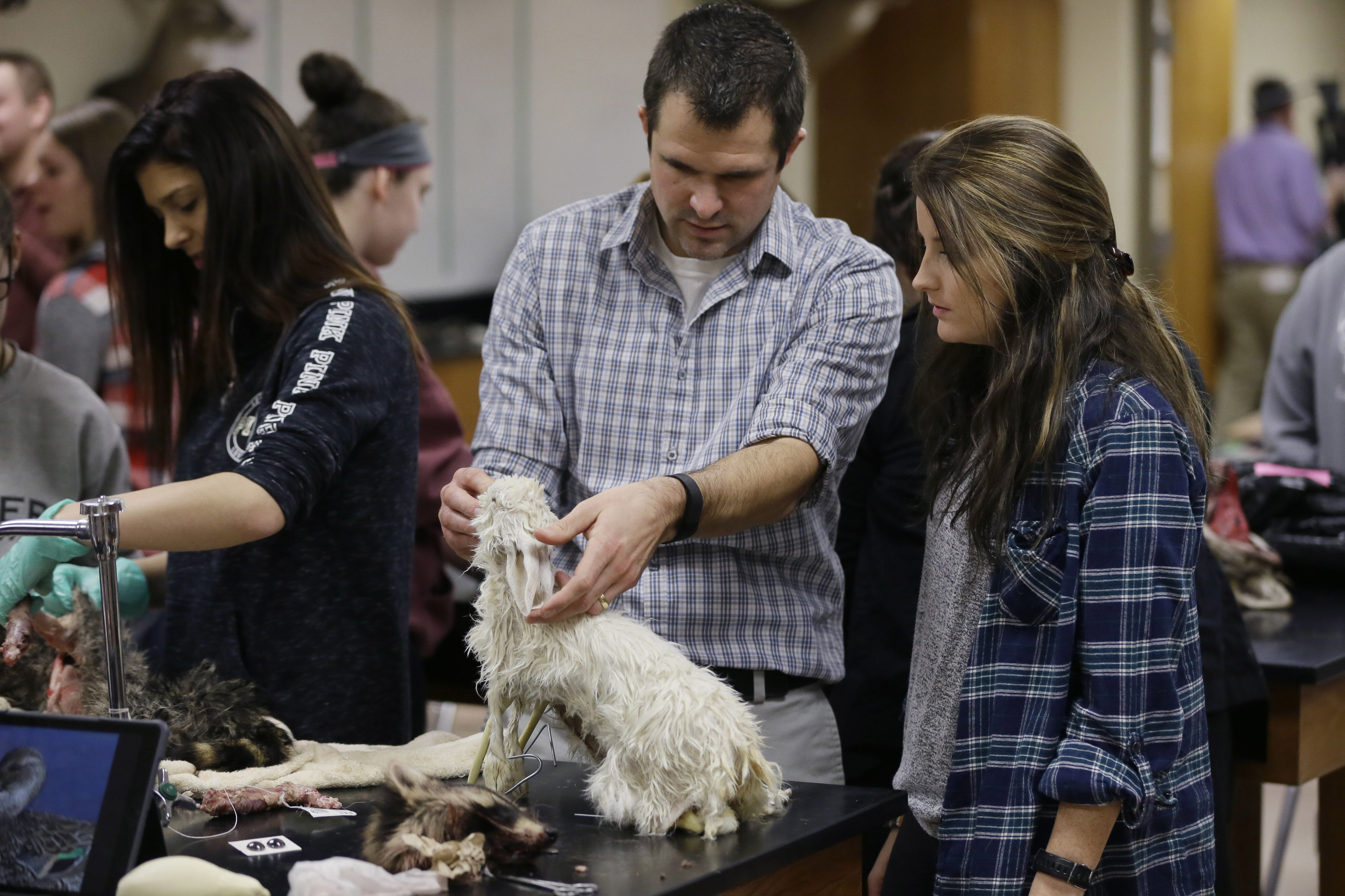 New taxidermy class a hit at Michigan high school