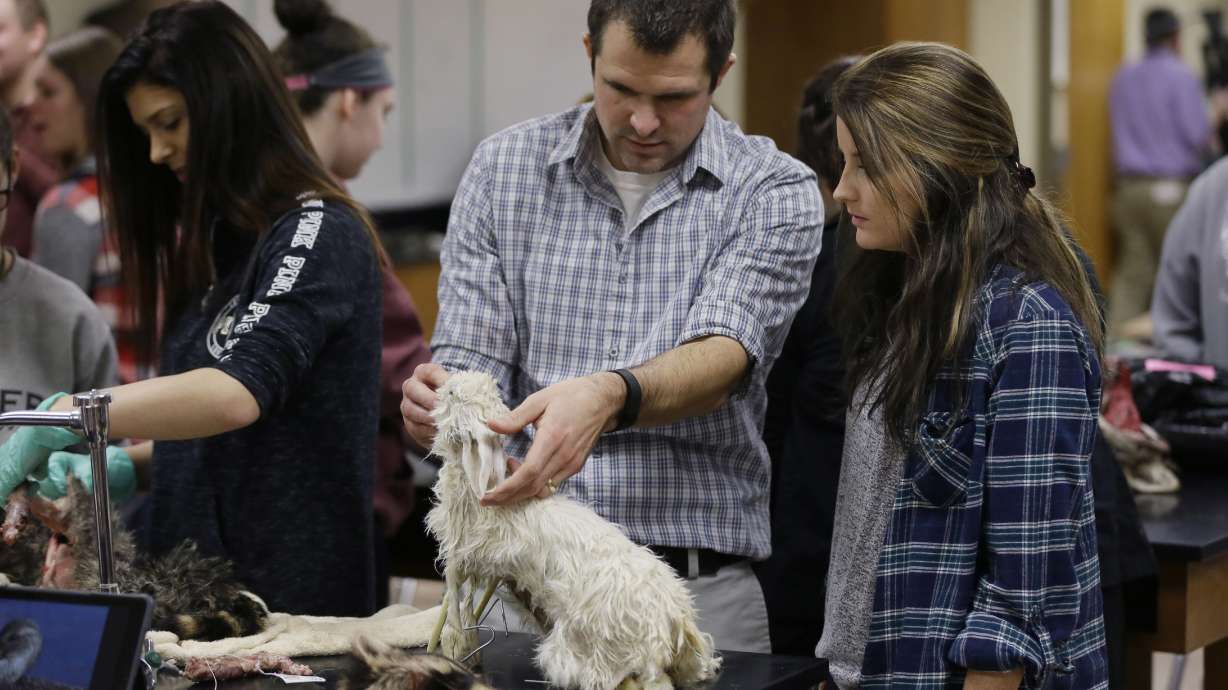 New taxidermy class a hit at Michigan high school