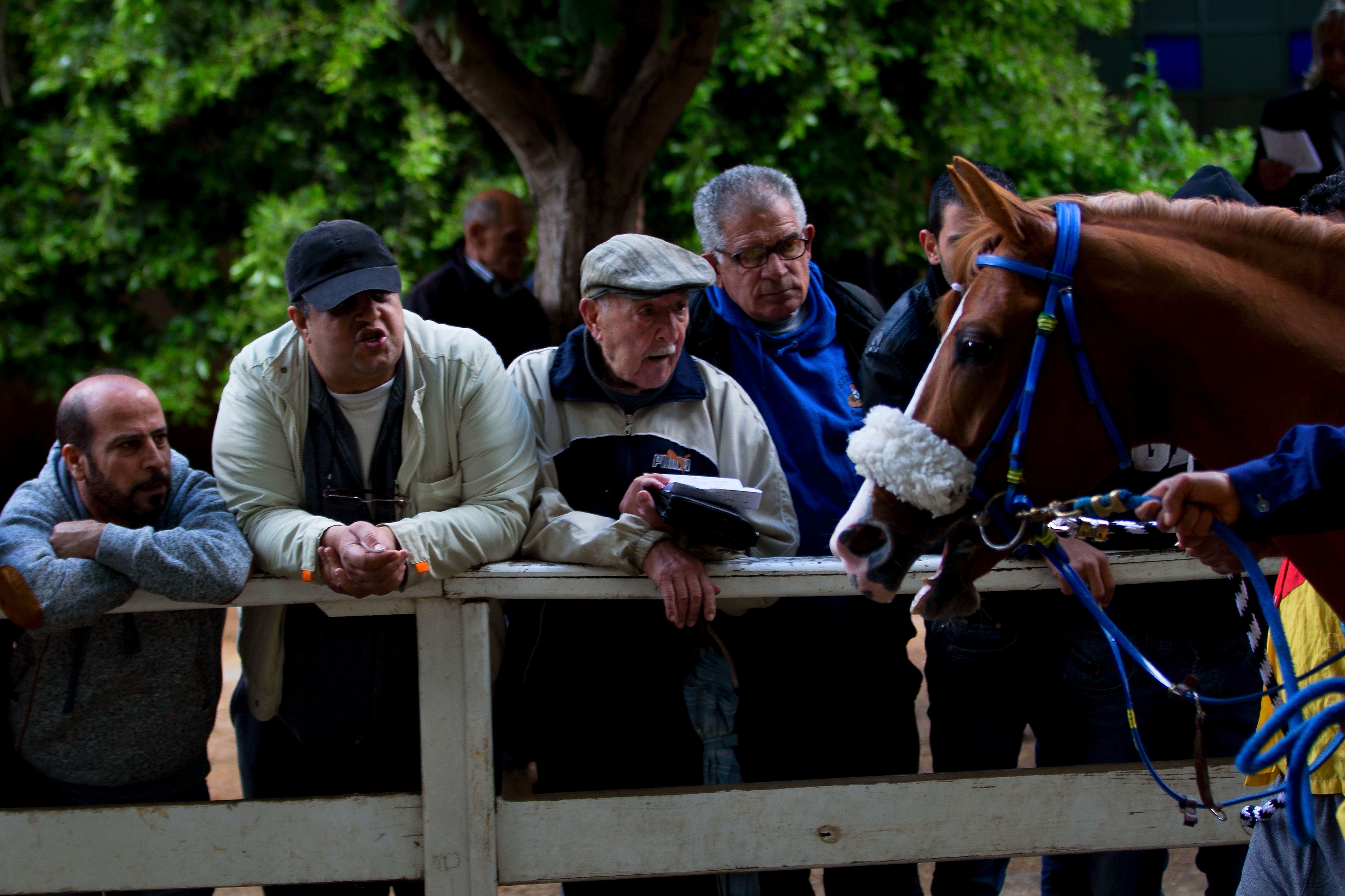 Beirut's racetrack, once a chic hotspot, falls on hard times